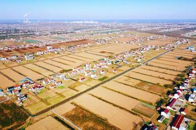 啟東鄉村游再登央視，沙地圩田文化與創新投資雙輪驅動